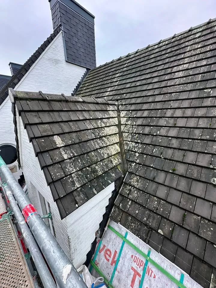 Voor: oud pannendak met mos en korstmos, schouw nog bekleed met asbestleien