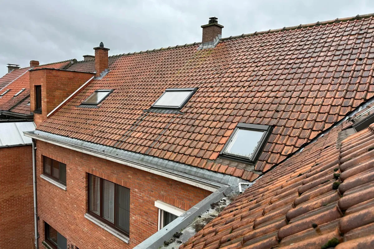 Voor: verweerd rood pannendak met mos, oude dakvensters en zinken goot